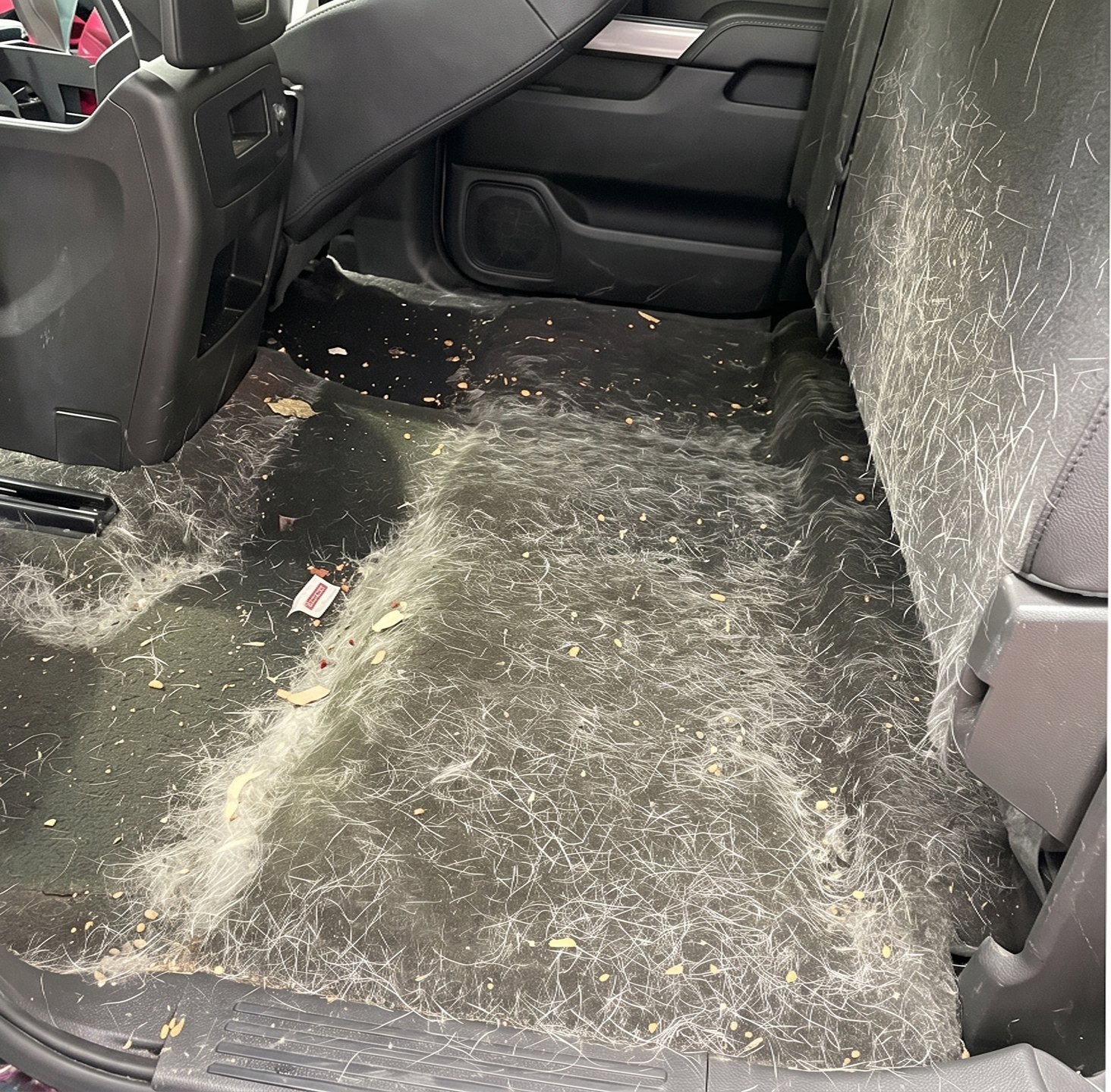 Interior before True Detail clean