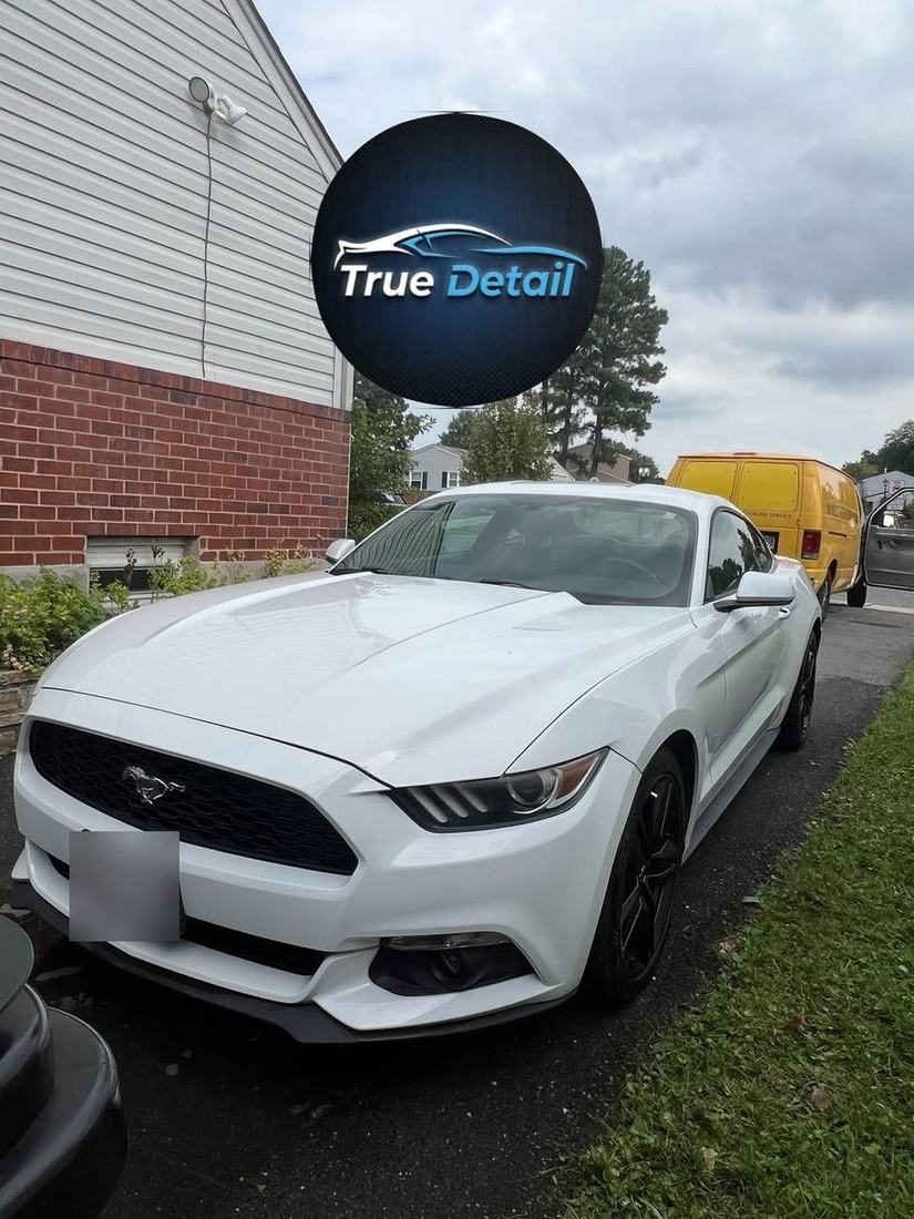 Ford Mustang detailed by True Detail in Baltimore County MD