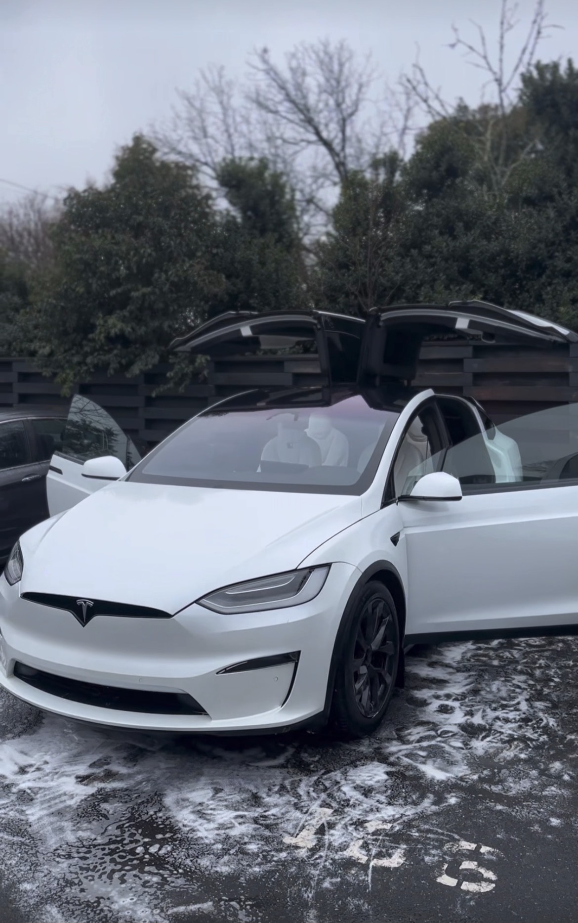 Tesla exterior hand wash Baltimore mobile detailing